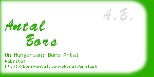 antal bors business card